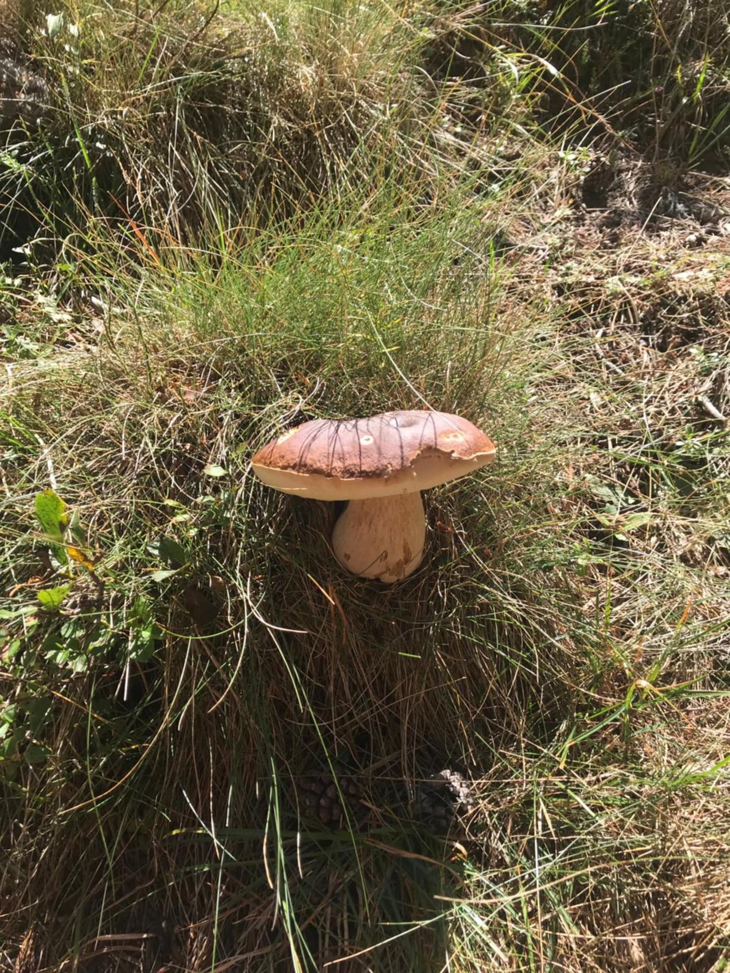 Jolie Petite Maison Chez Barbara Garbagna Zewnętrze zdjęcie